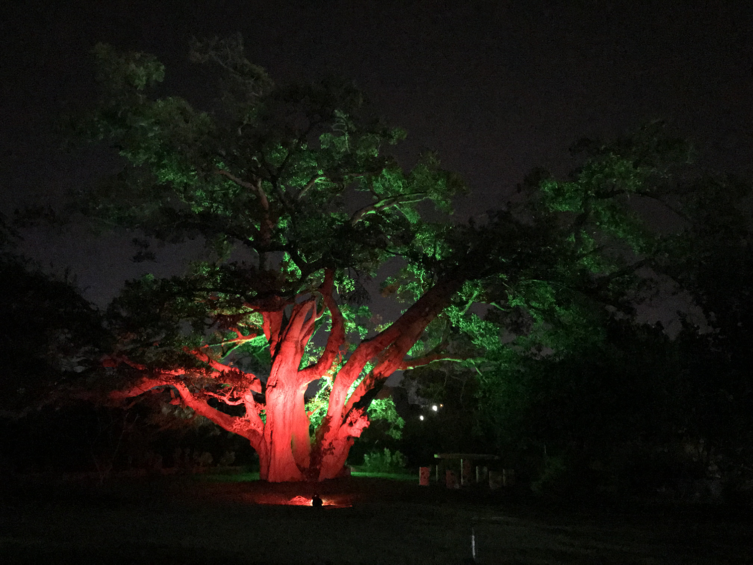Proyecto LightingWorks